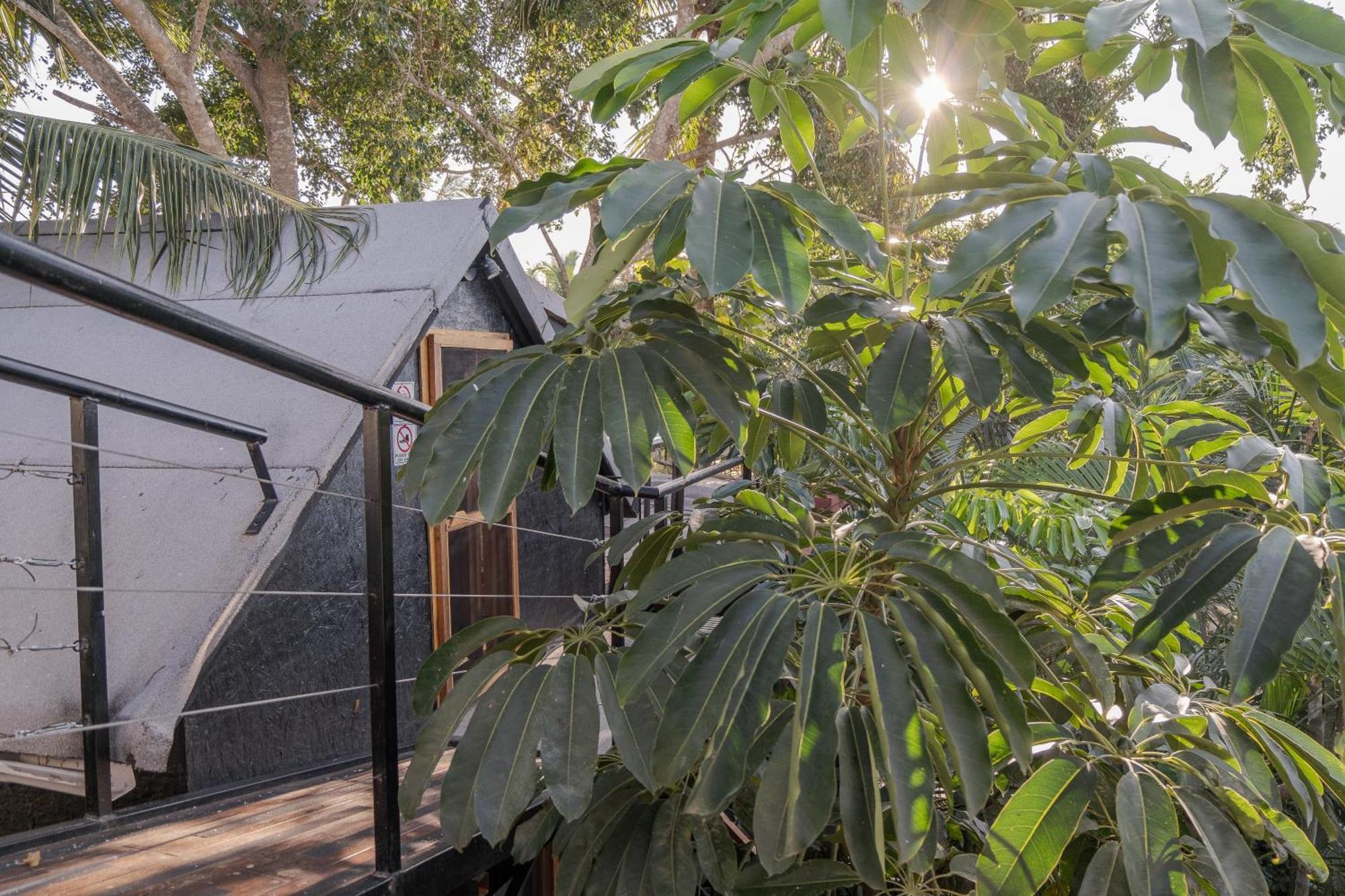 Hotel El Refugio De Sayulita - Health And Wellness House Extérieur photo